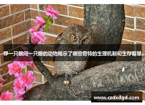 睁一只眼闭一只眼的动物揭示了哪些奇特的生理机制和生存智慧 睁一只眼闭一只眼的动物揭示了哪些奇特的生理机制和生存智慧